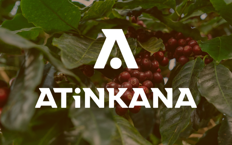 job-z project thumbnail